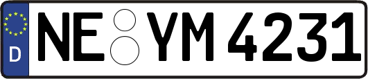 NE-YM4231