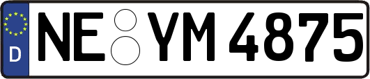 NE-YM4875