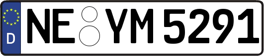 NE-YM5291