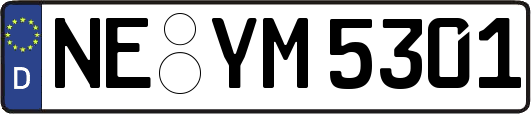 NE-YM5301
