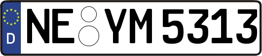 NE-YM5313