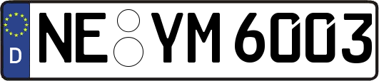 NE-YM6003