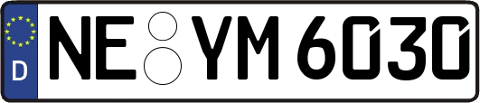 NE-YM6030