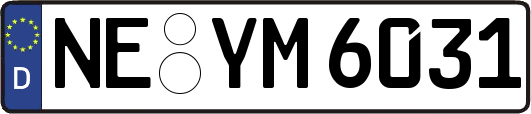 NE-YM6031