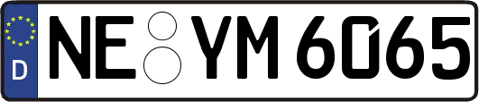 NE-YM6065