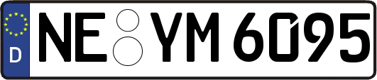 NE-YM6095