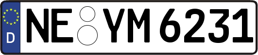 NE-YM6231