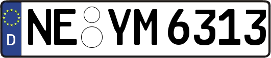 NE-YM6313