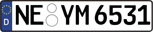 NE-YM6531