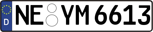 NE-YM6613