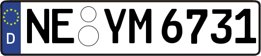 NE-YM6731