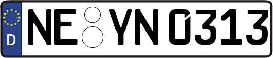 NE-YN0313