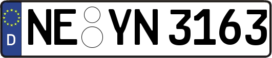 NE-YN3163
