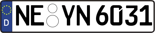 NE-YN6031
