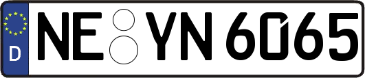 NE-YN6065