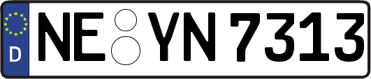 NE-YN7313