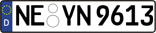 NE-YN9613