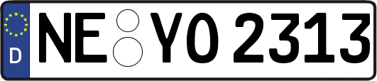 NE-YO2313