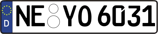 NE-YO6031