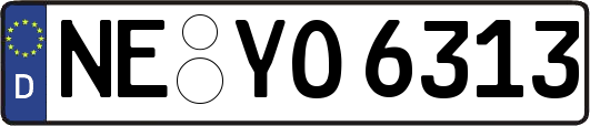NE-YO6313