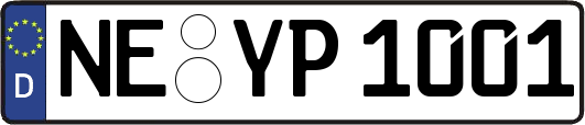 NE-YP1001