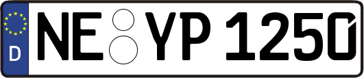 NE-YP1250