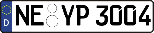 NE-YP3004