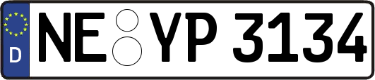 NE-YP3134