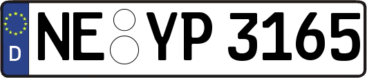 NE-YP3165