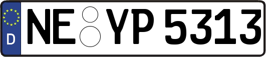 NE-YP5313