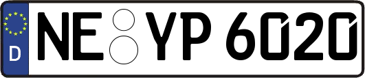 NE-YP6020