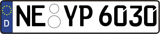 NE-YP6030