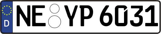 NE-YP6031