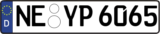 NE-YP6065