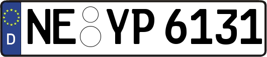 NE-YP6131