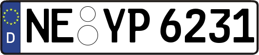 NE-YP6231
