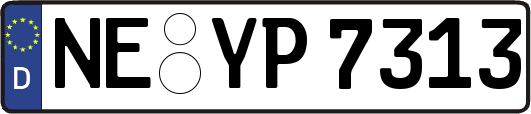 NE-YP7313