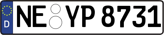 NE-YP8731