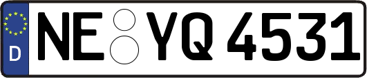 NE-YQ4531