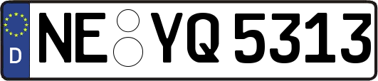 NE-YQ5313