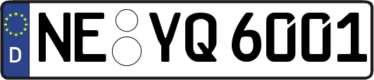 NE-YQ6001