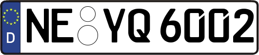 NE-YQ6002
