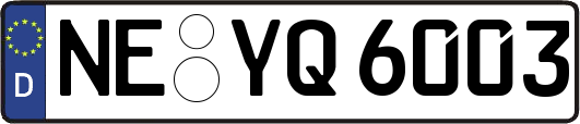 NE-YQ6003