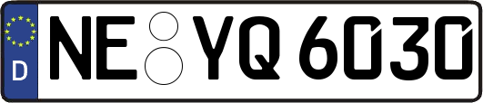 NE-YQ6030