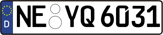 NE-YQ6031