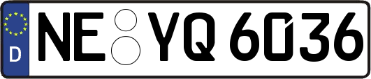 NE-YQ6036