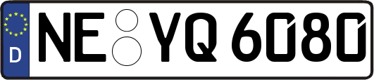 NE-YQ6080