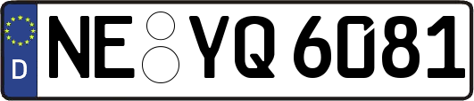 NE-YQ6081