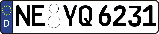 NE-YQ6231