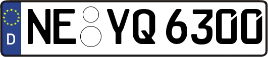 NE-YQ6300